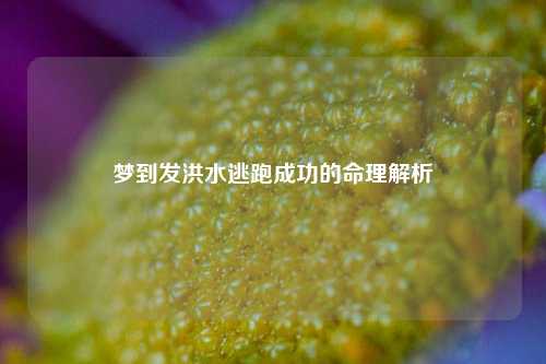 梦到发洪水逃跑成功的命理解析