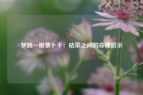 梦到一根萝卜干：枯荣之间的命理启示